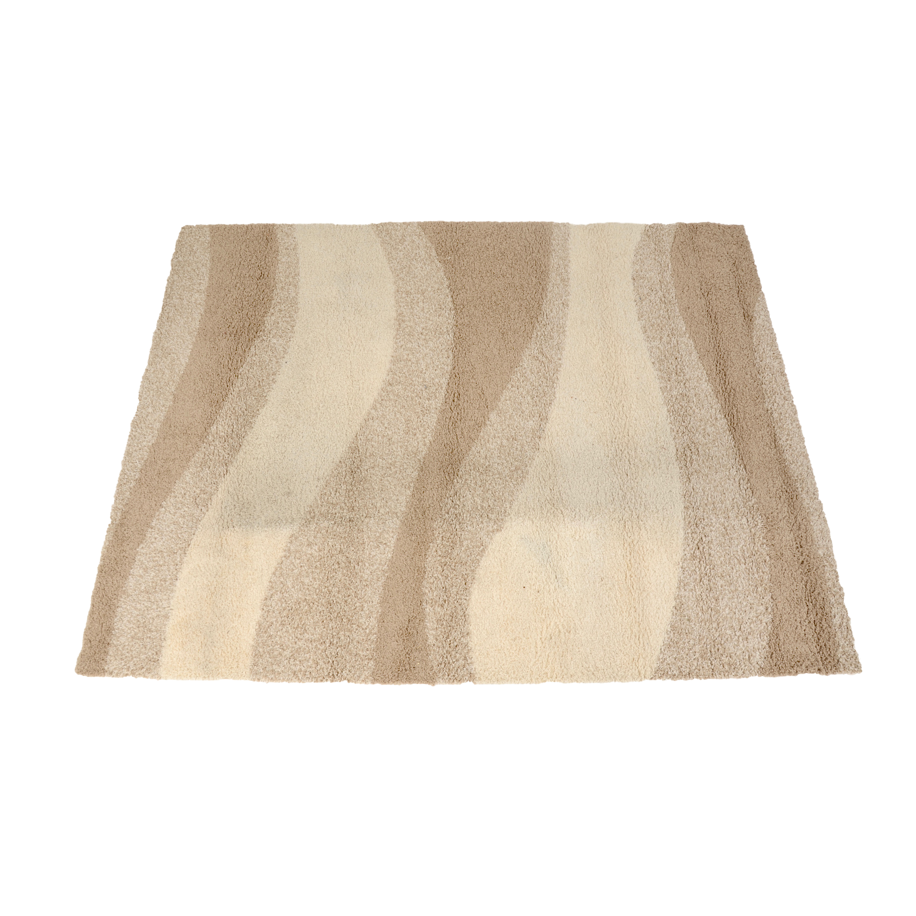 Modern Style Shag Carpet Area Rug