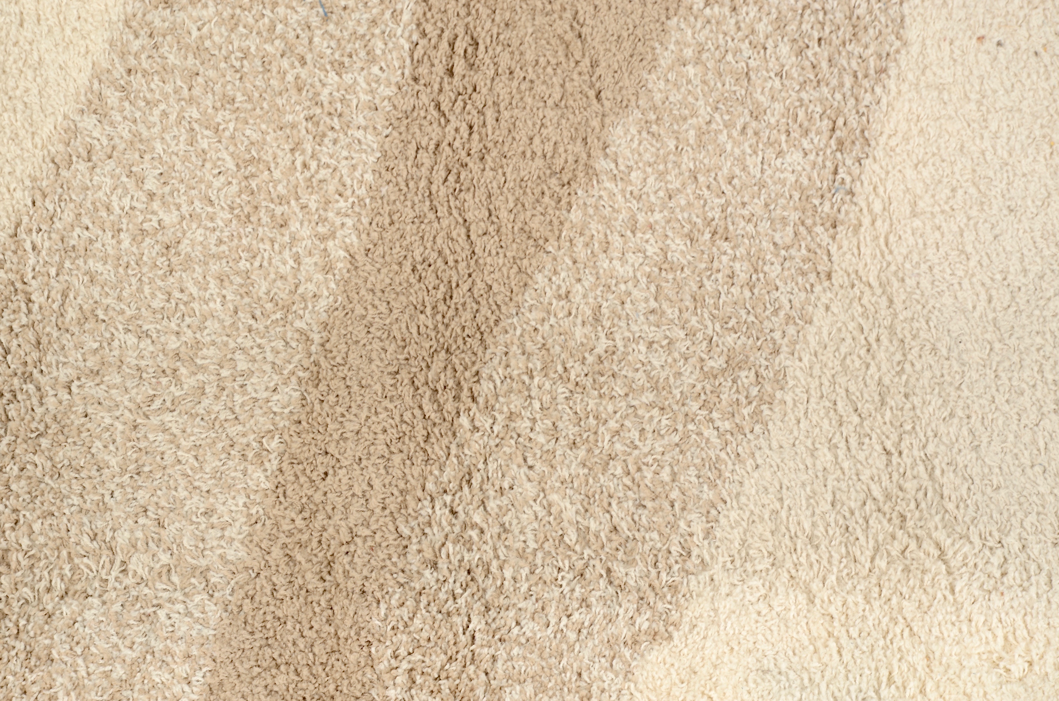 Modern Style Shag Carpet Area Rug