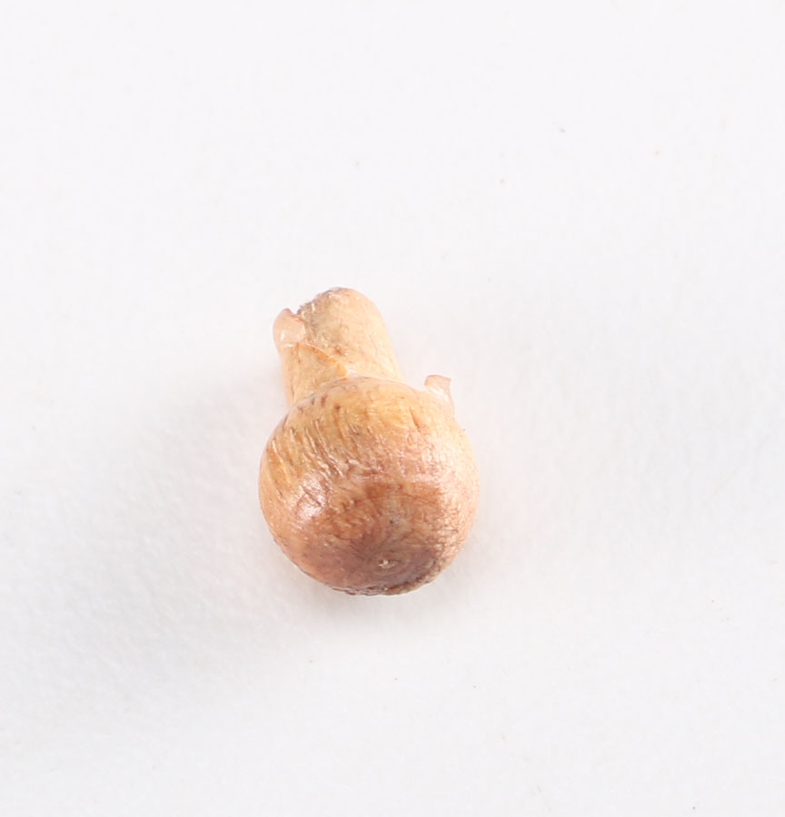 Vintage Whiskey Decanter and Coaster Set