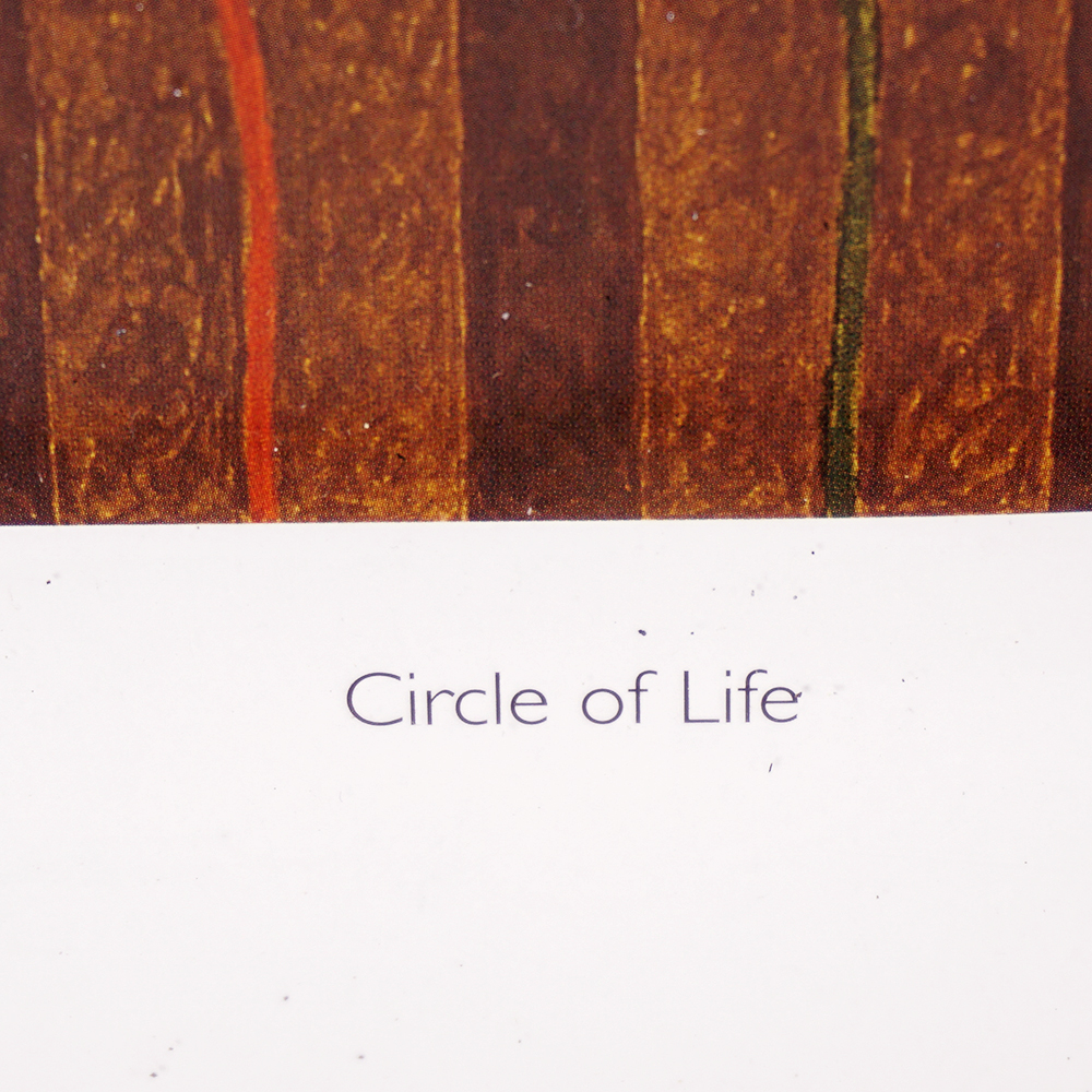 Native American Style Print Pair