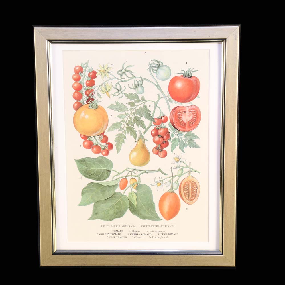 Set of Botanical Prints