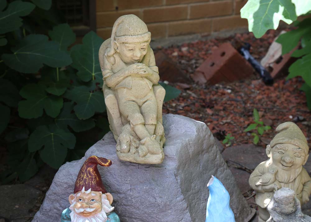 Large Assortment of Gnomes