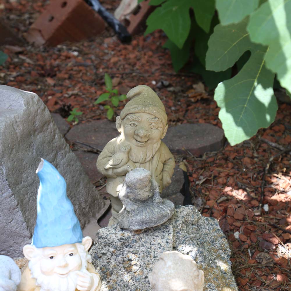 Large Assortment of Gnomes