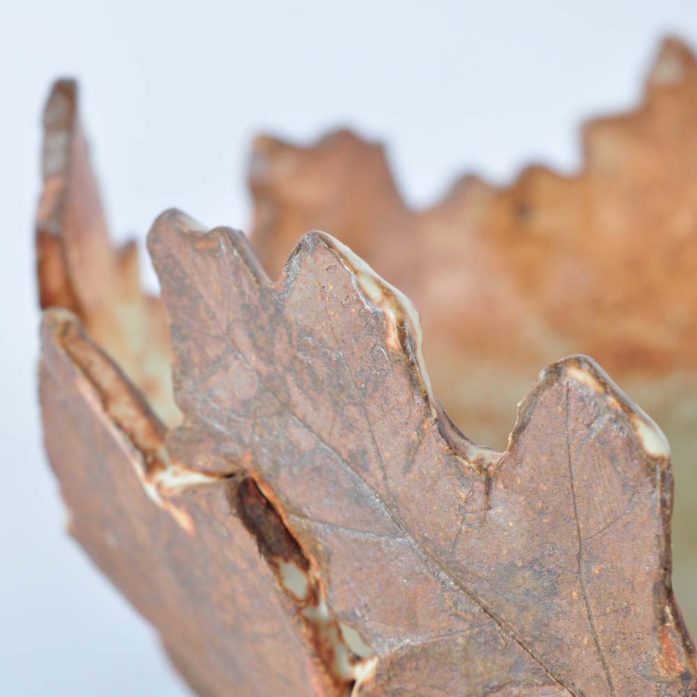 Autumnal Pottery Bowls