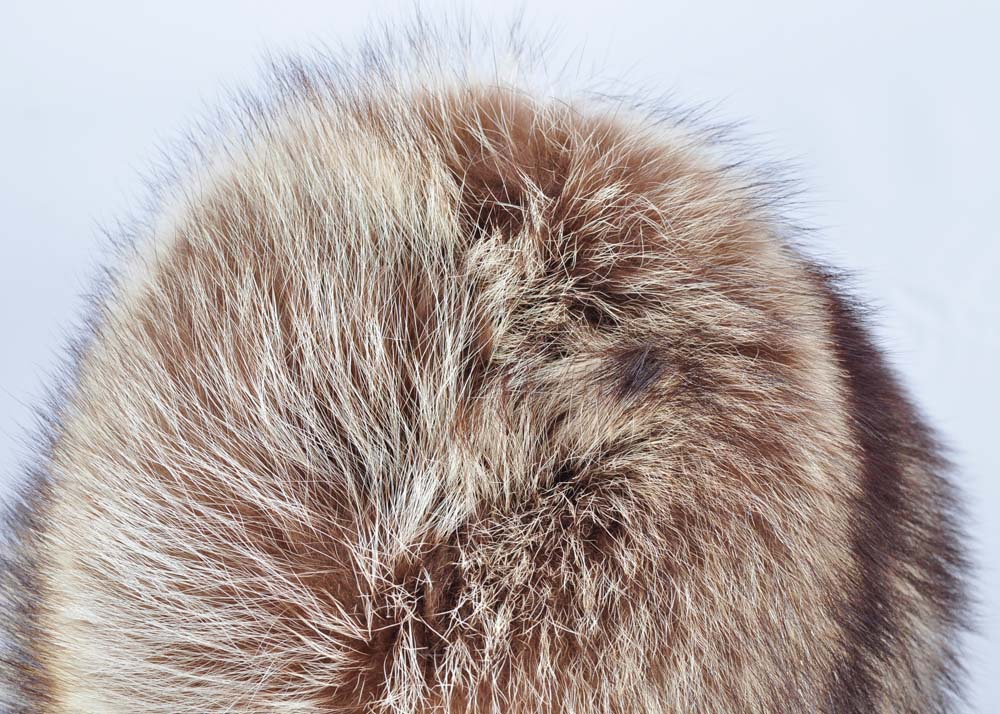Raccoon Fur Hat in Vintage Hat Box