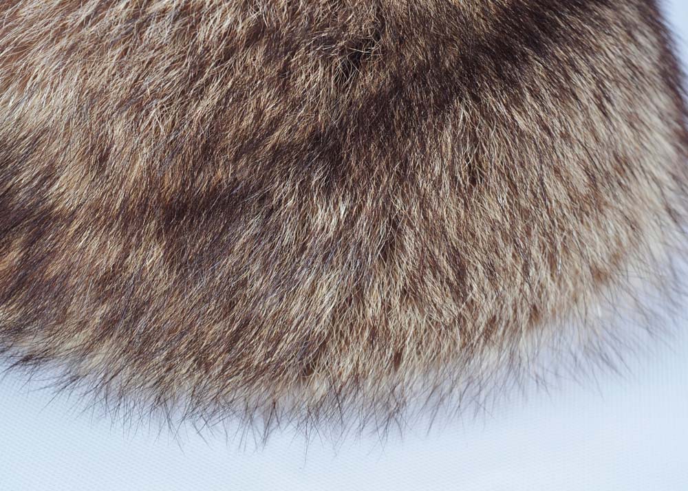 Raccoon Fur Hat in Vintage Hat Box