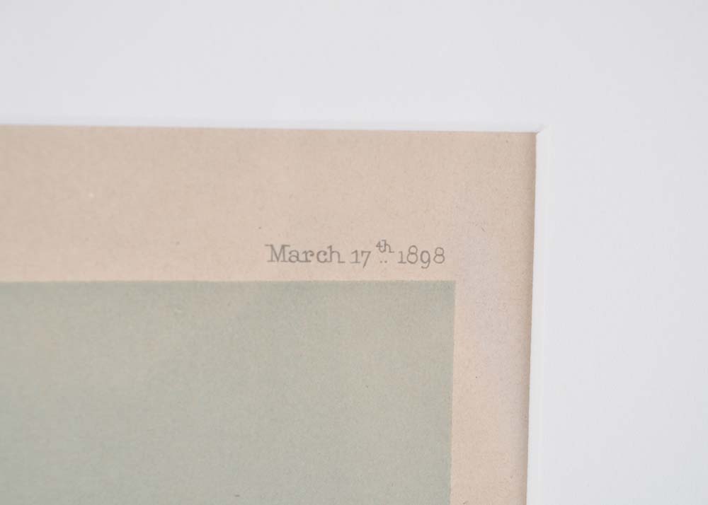 Vanity Fair Spy Framed Offset Lithographs