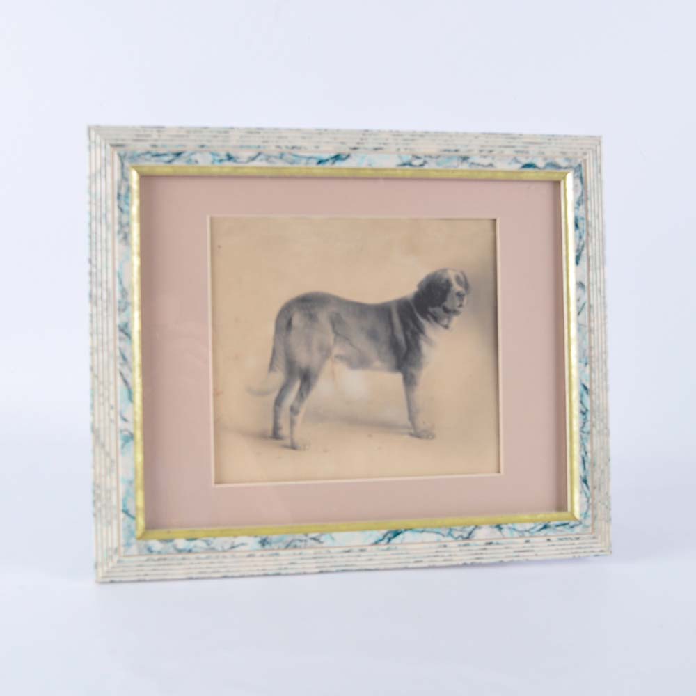 Original Drawing of "Winthrop" Champion Saint Bernard