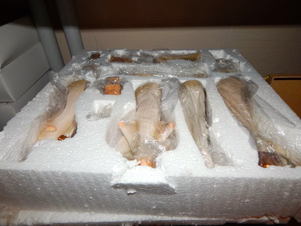 Christmas Collection