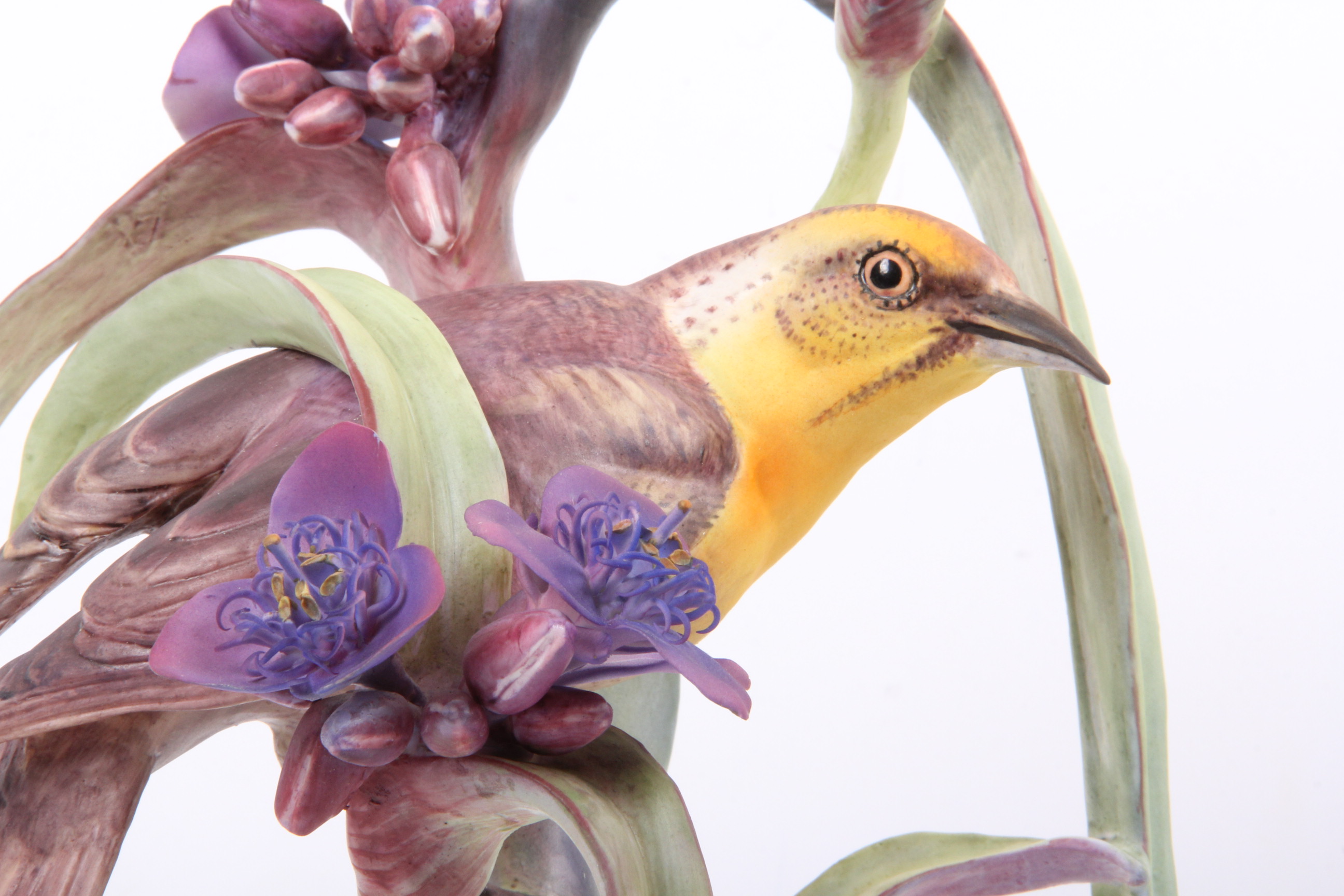 Royal Worcester Dorthy Doughty Yellowheaded Blackbird Pair