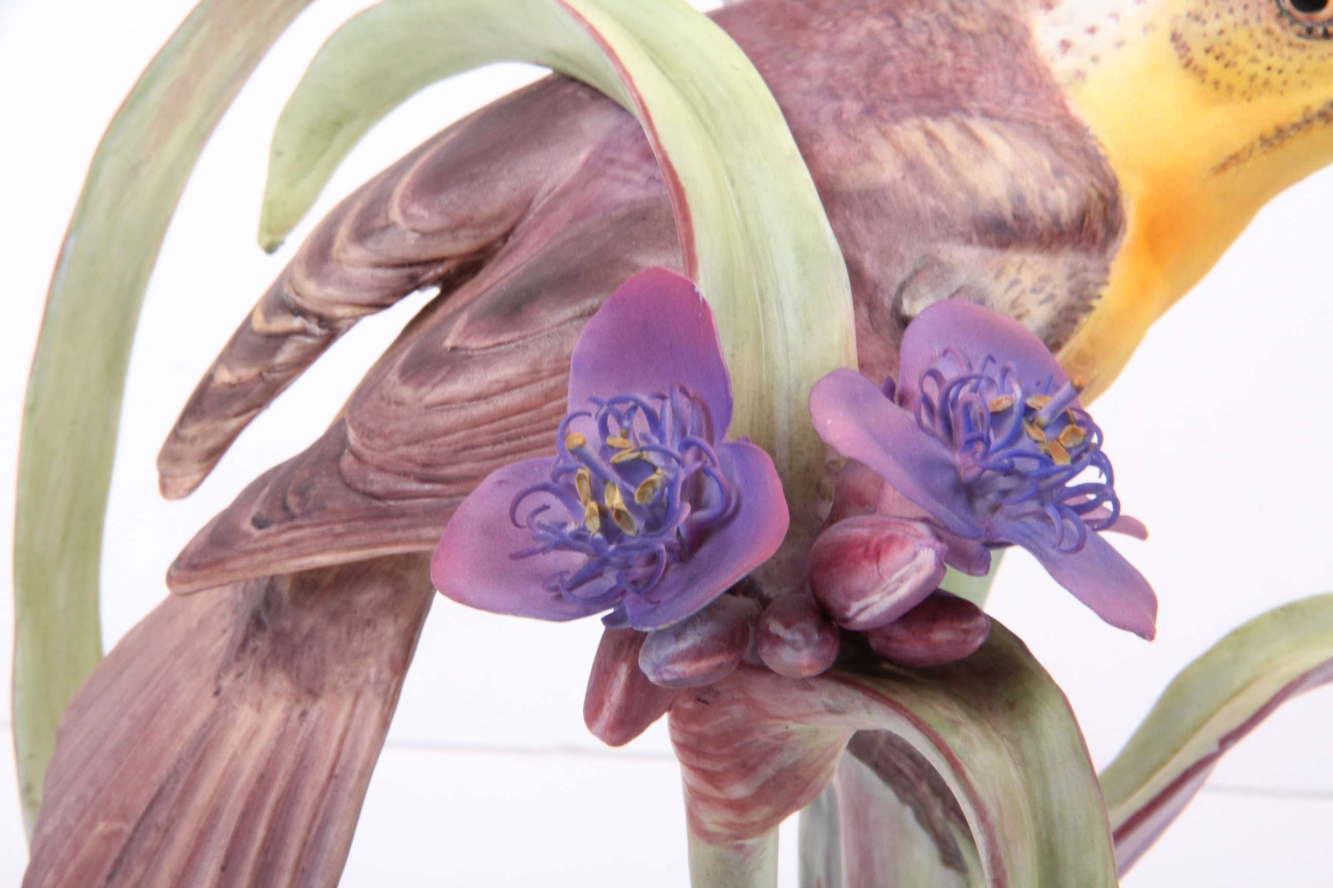 Royal Worcester Dorthy Doughty Yellowheaded Blackbird Pair