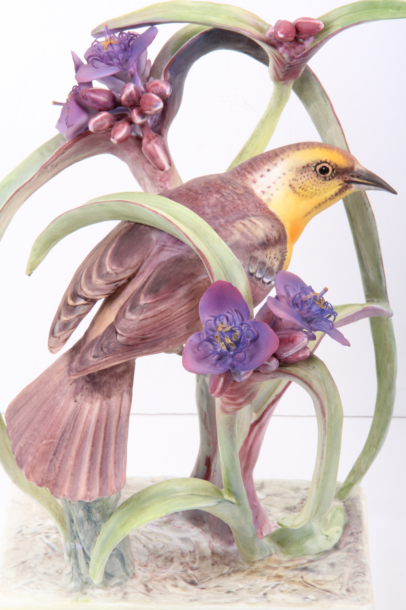 Royal Worcester Dorthy Doughty Yellowheaded Blackbird Pair