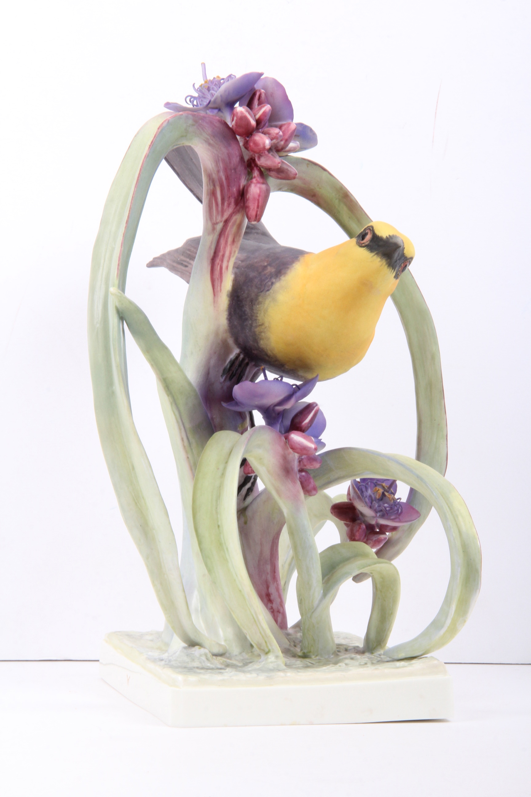 Royal Worcester Dorthy Doughty Yellowheaded Blackbird Pair