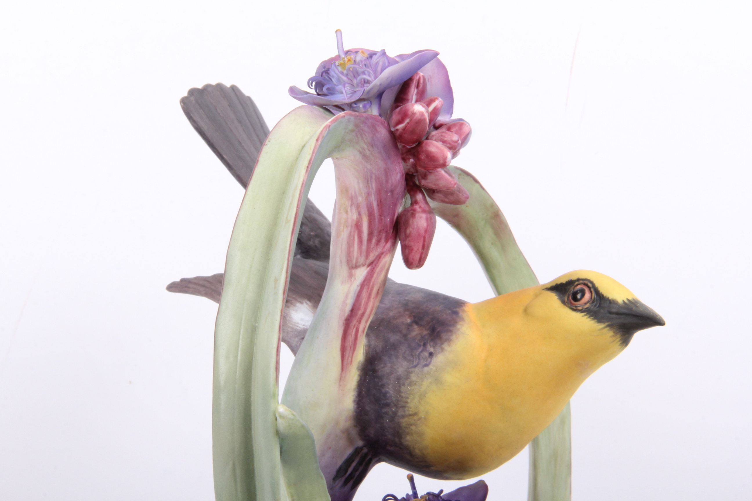 Royal Worcester Dorthy Doughty Yellowheaded Blackbird Pair