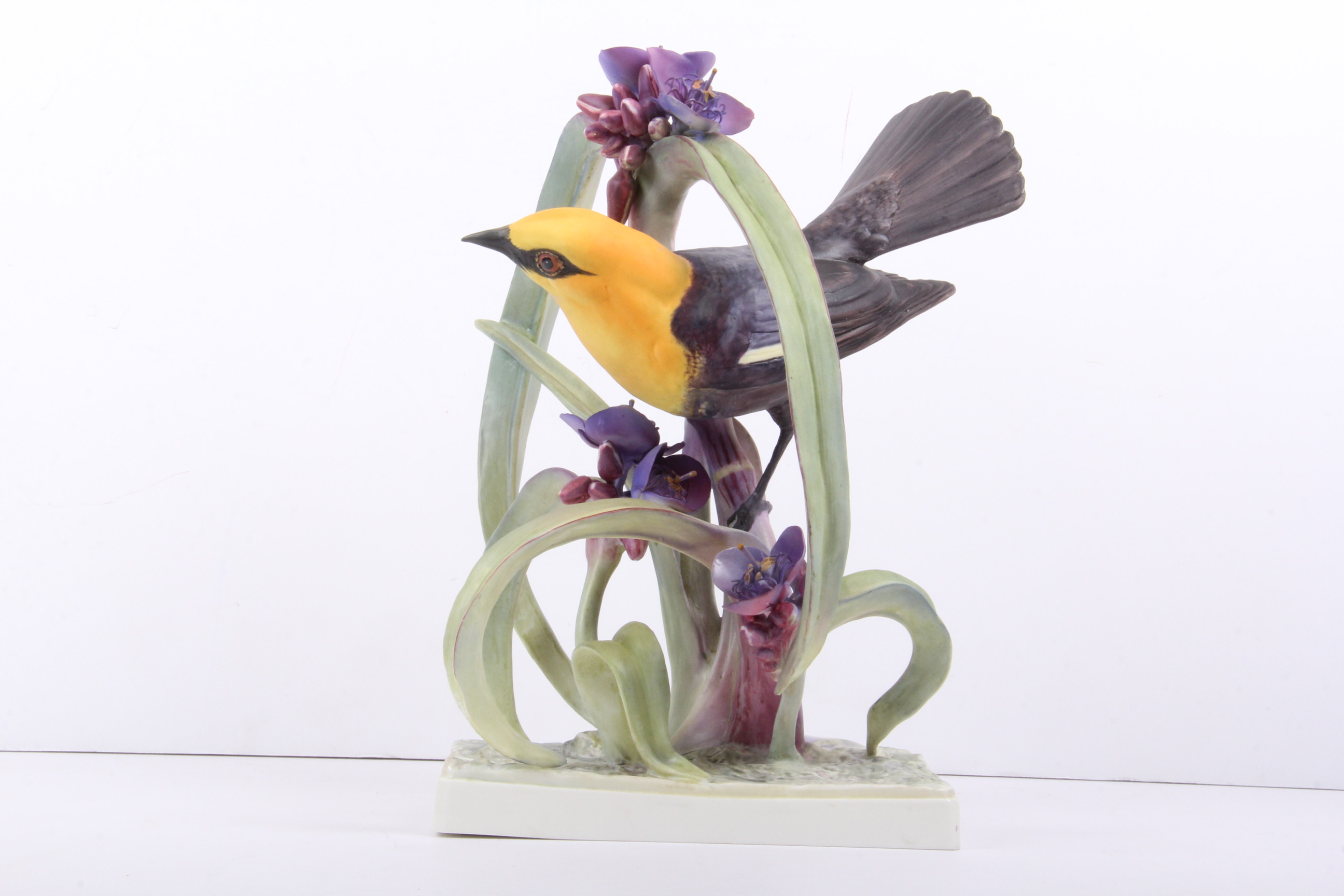 Royal Worcester Dorthy Doughty Yellowheaded Blackbird Pair