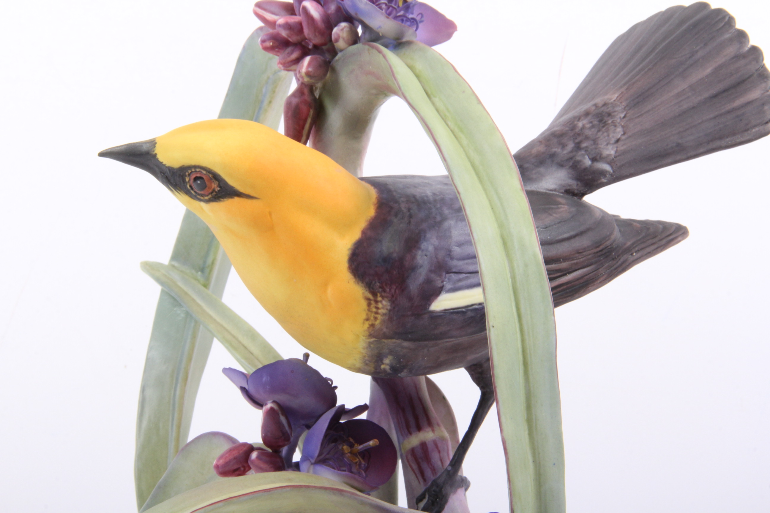 Royal Worcester Dorthy Doughty Yellowheaded Blackbird Pair
