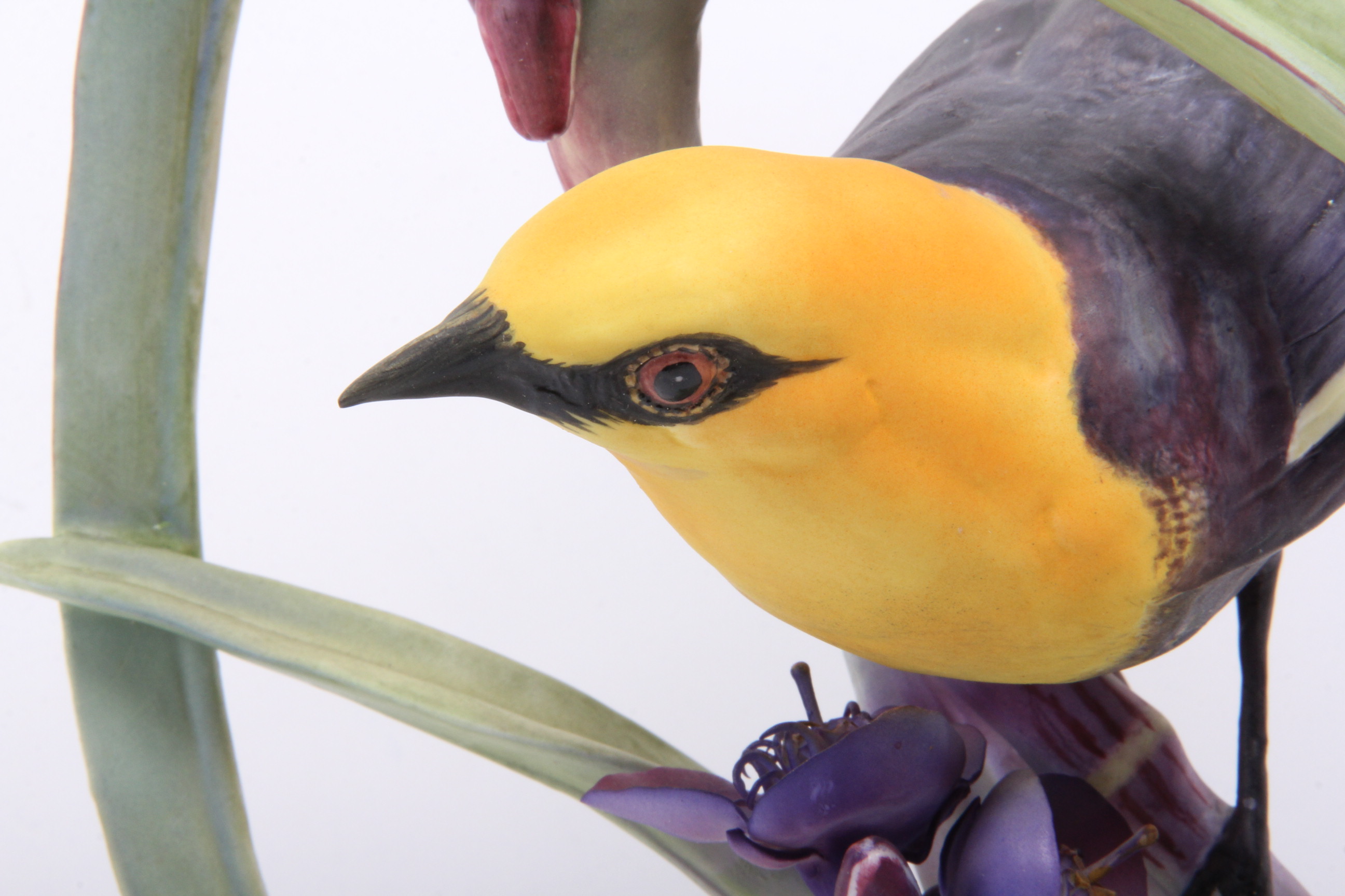 Royal Worcester Dorthy Doughty Yellowheaded Blackbird Pair