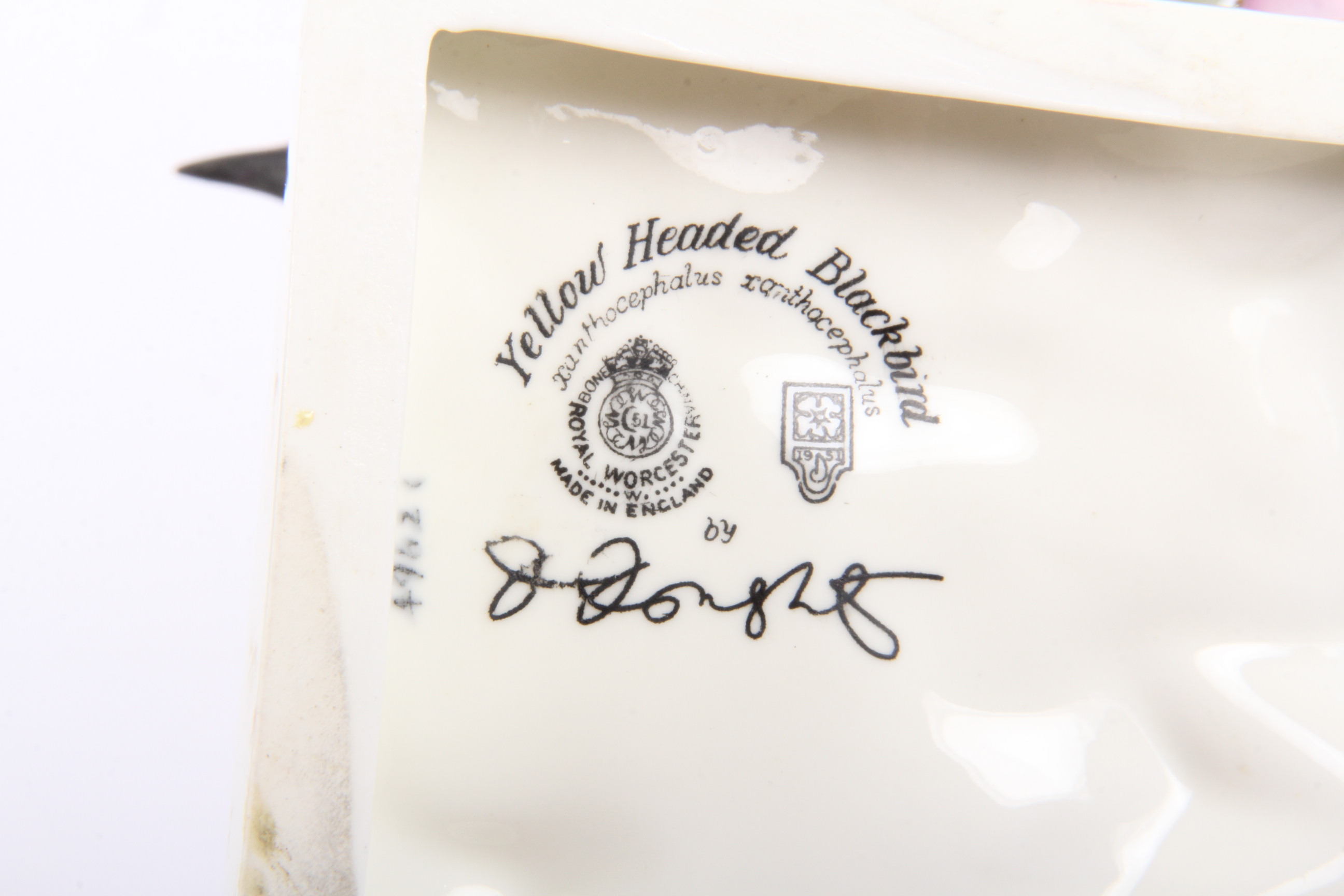 Royal Worcester Dorthy Doughty Yellowheaded Blackbird Pair