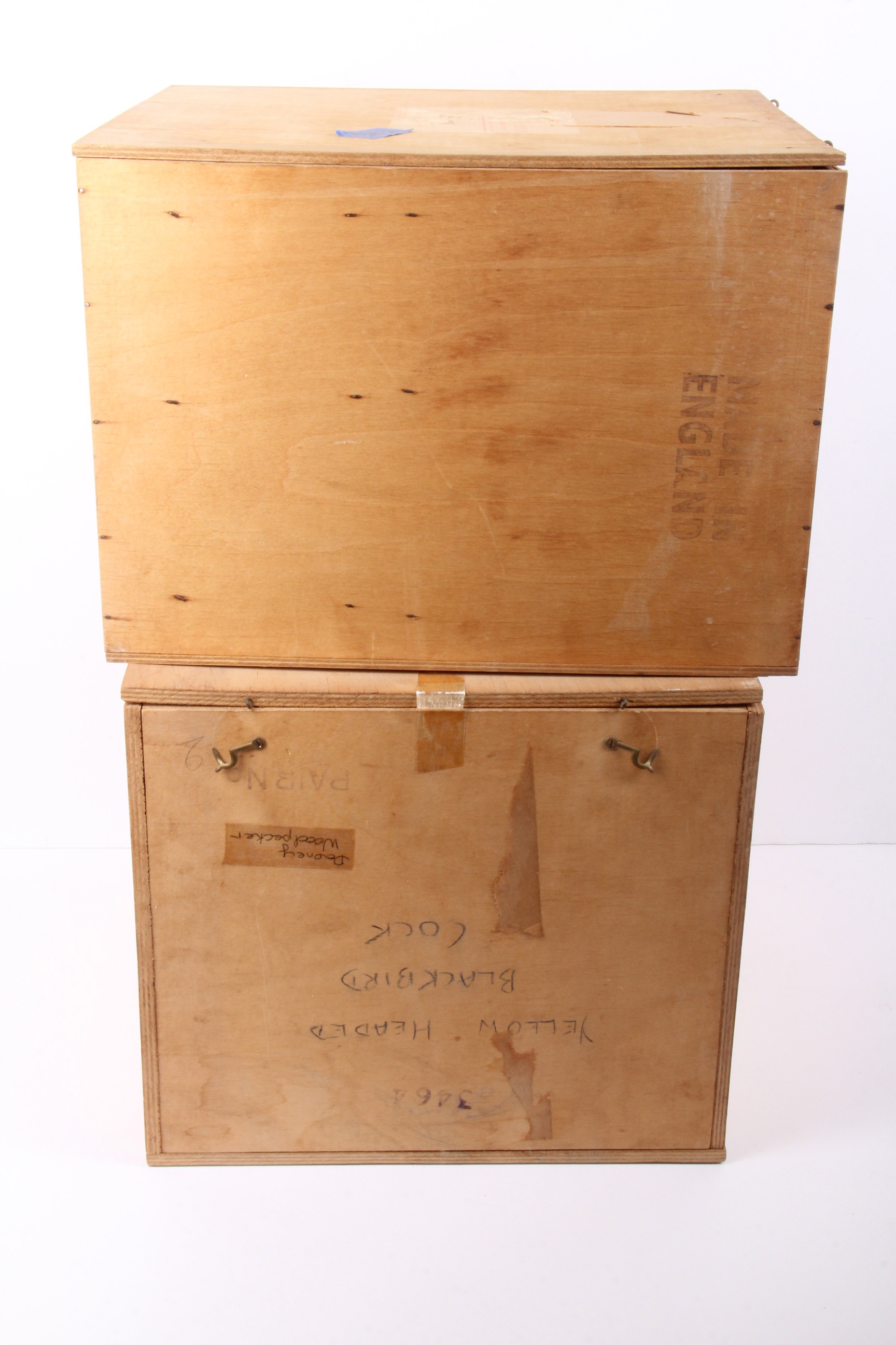 Royal Worcester Dorthy Doughty Yellowheaded Blackbird Pair