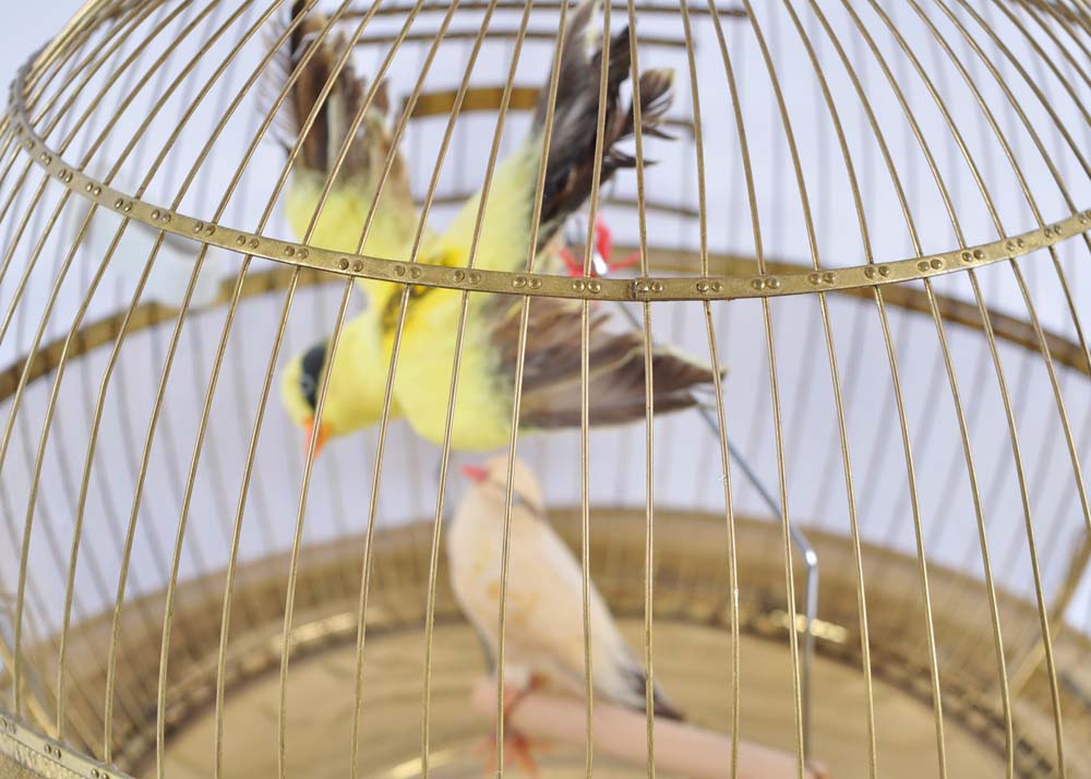 Vintage Hendryx Birdcage