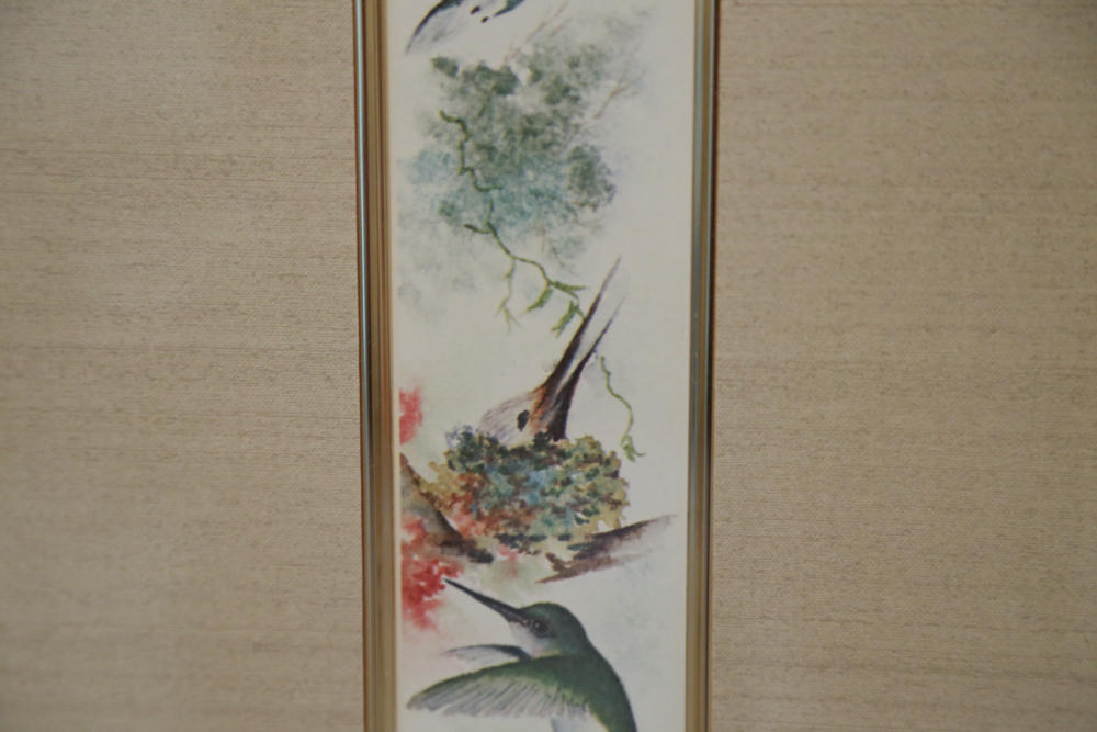P.M. Fitzpatrick Offset Lithograph of Hummingbirds in Frame