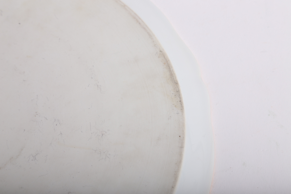 Limoges Porcelain Plate