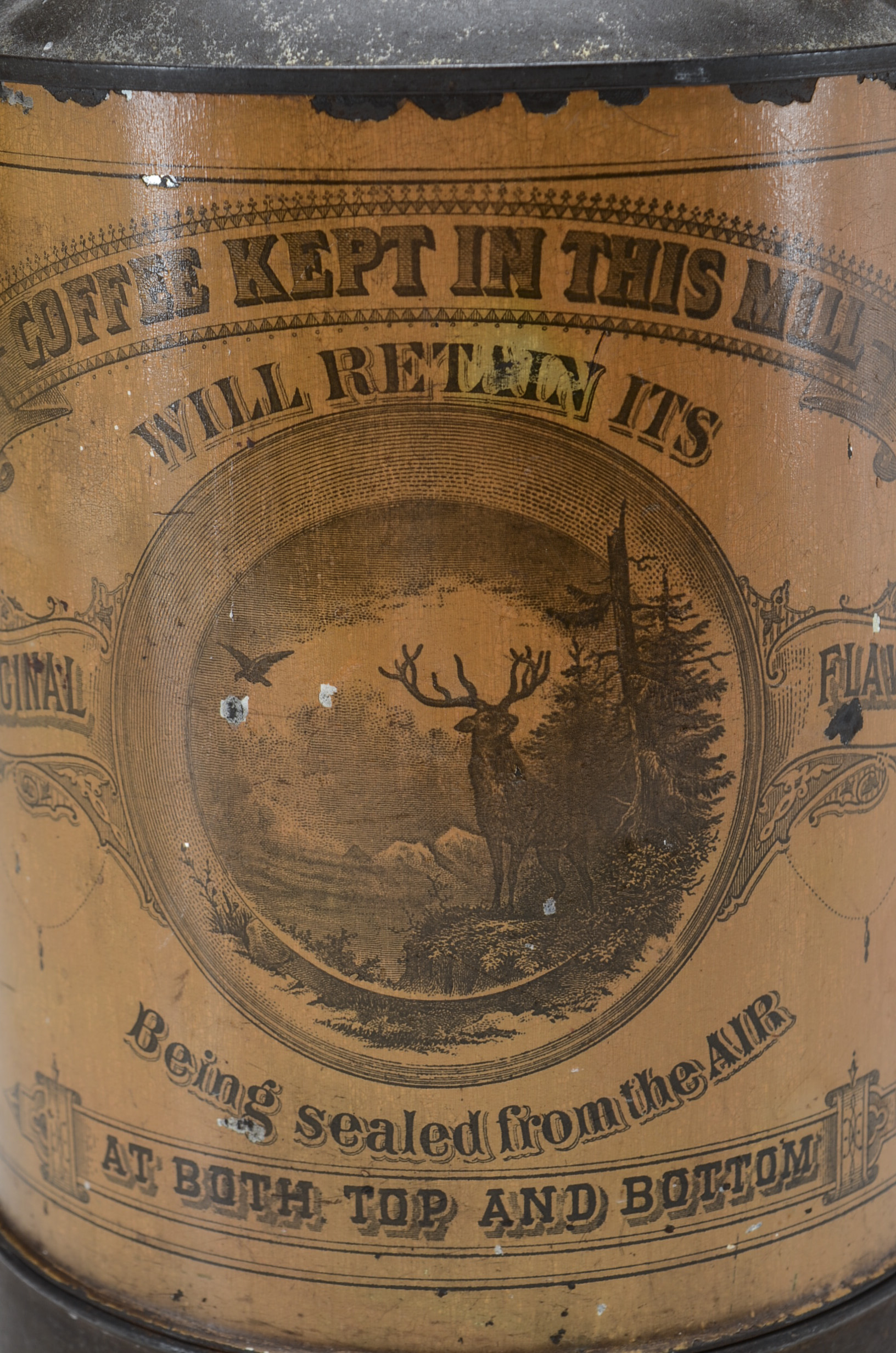 Antique Norton Bro's Coffee Mill Tin Grinder