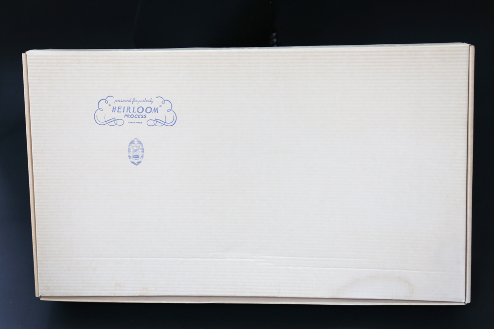 Preserved Vintage Wedding Gown