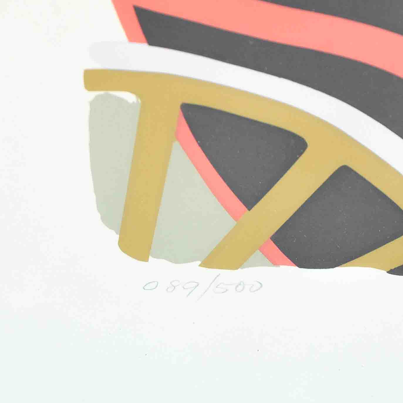 36 Paris Air Show Print signed Carl Critz