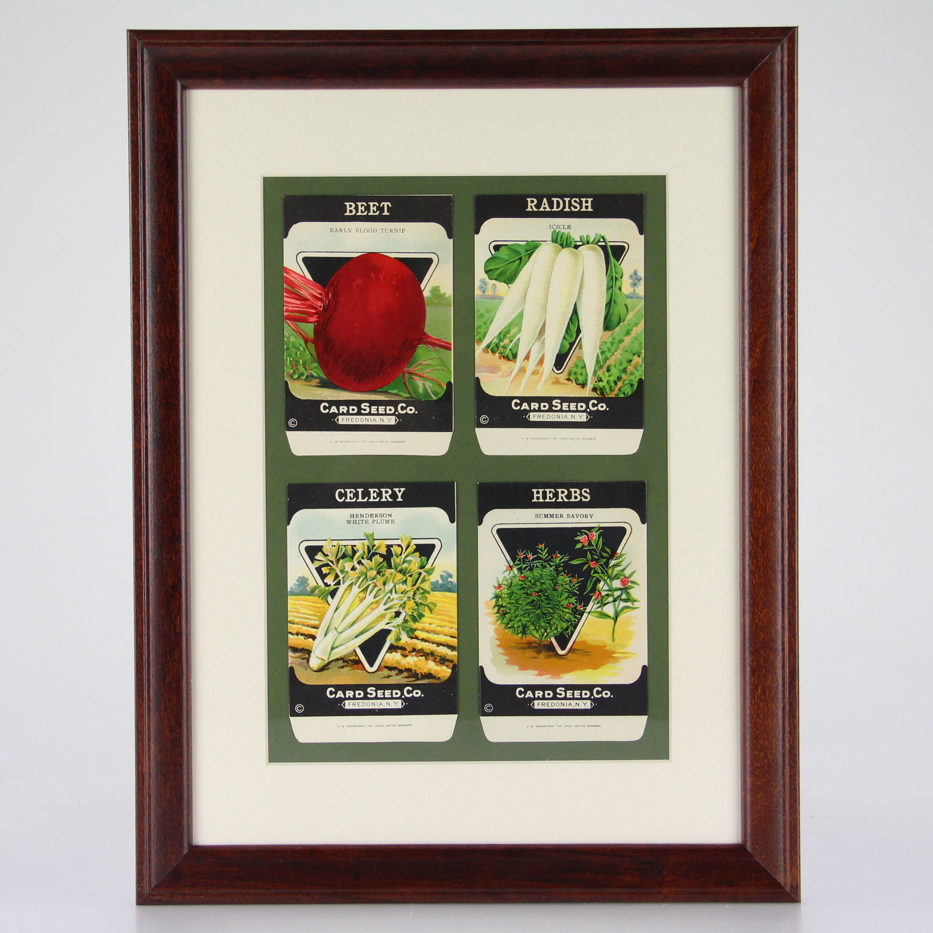 Original 1920s Seed Packets