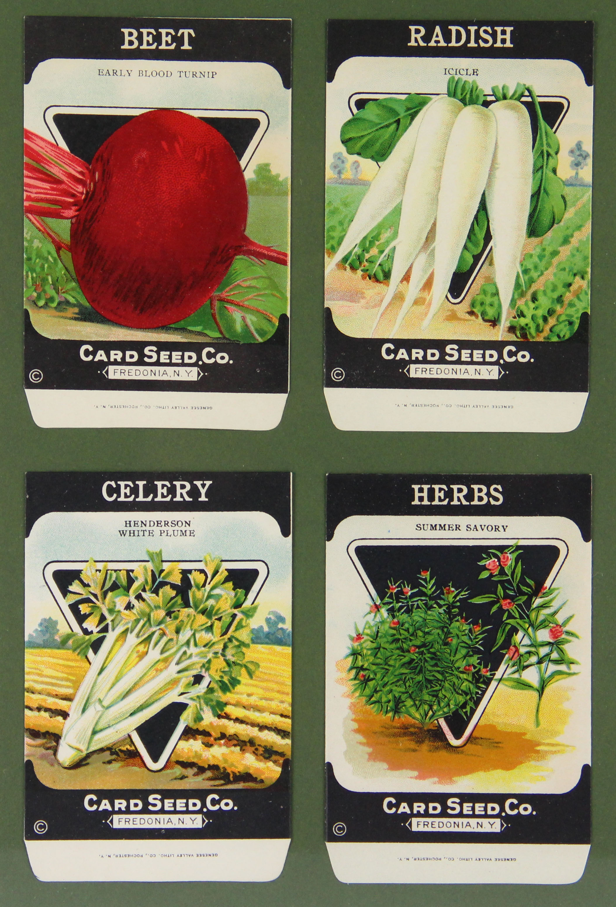 Original 1920s Seed Packets