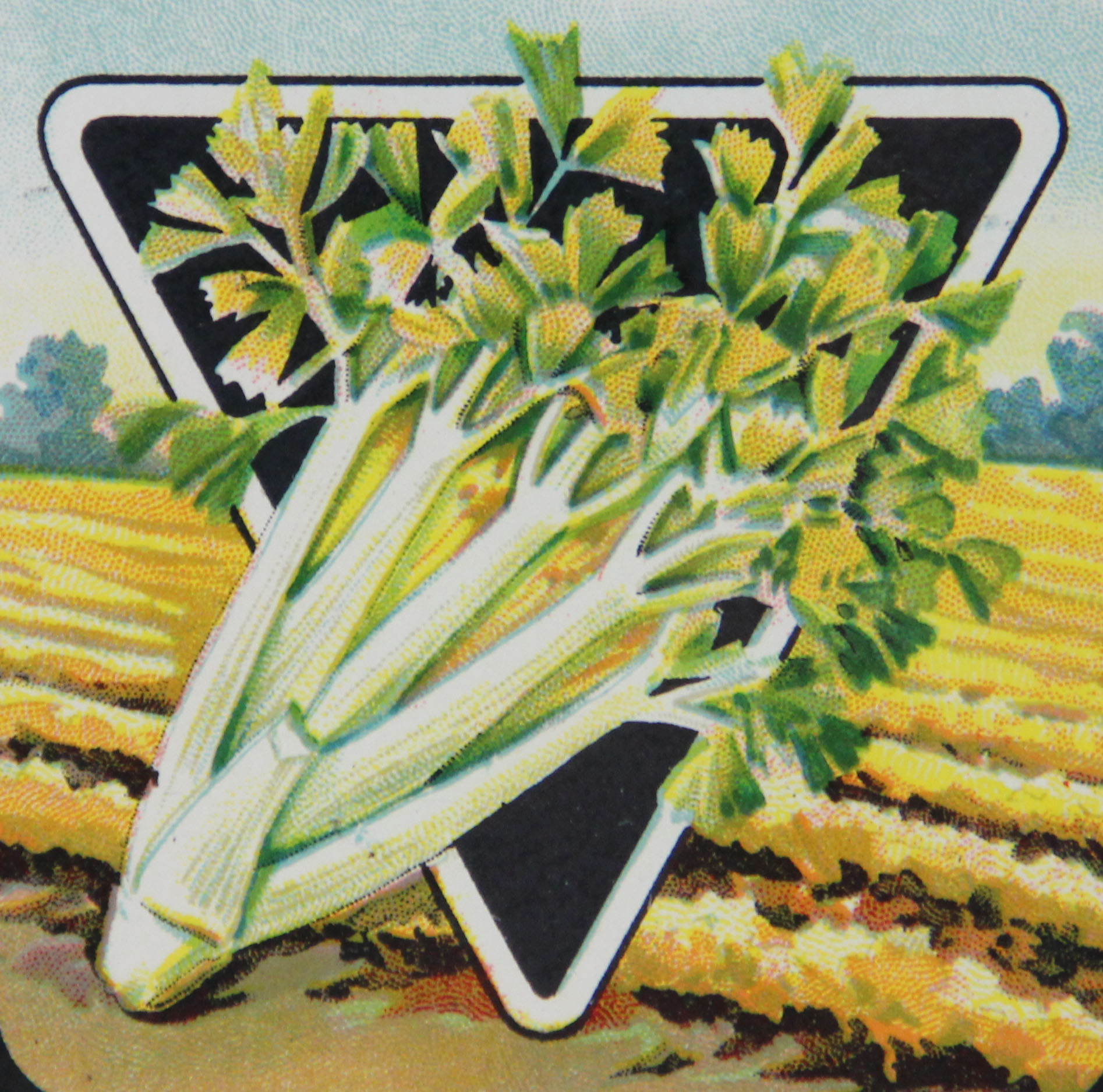 Original 1920s Seed Packets