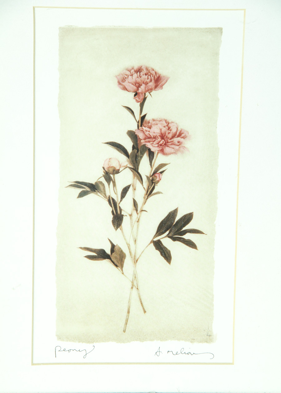 Pair of Framed Floral Art Prints by A. Melion