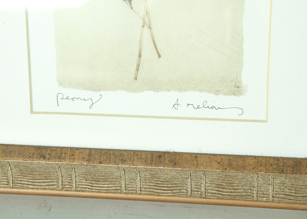 Pair of Framed Floral Art Prints by A. Melion