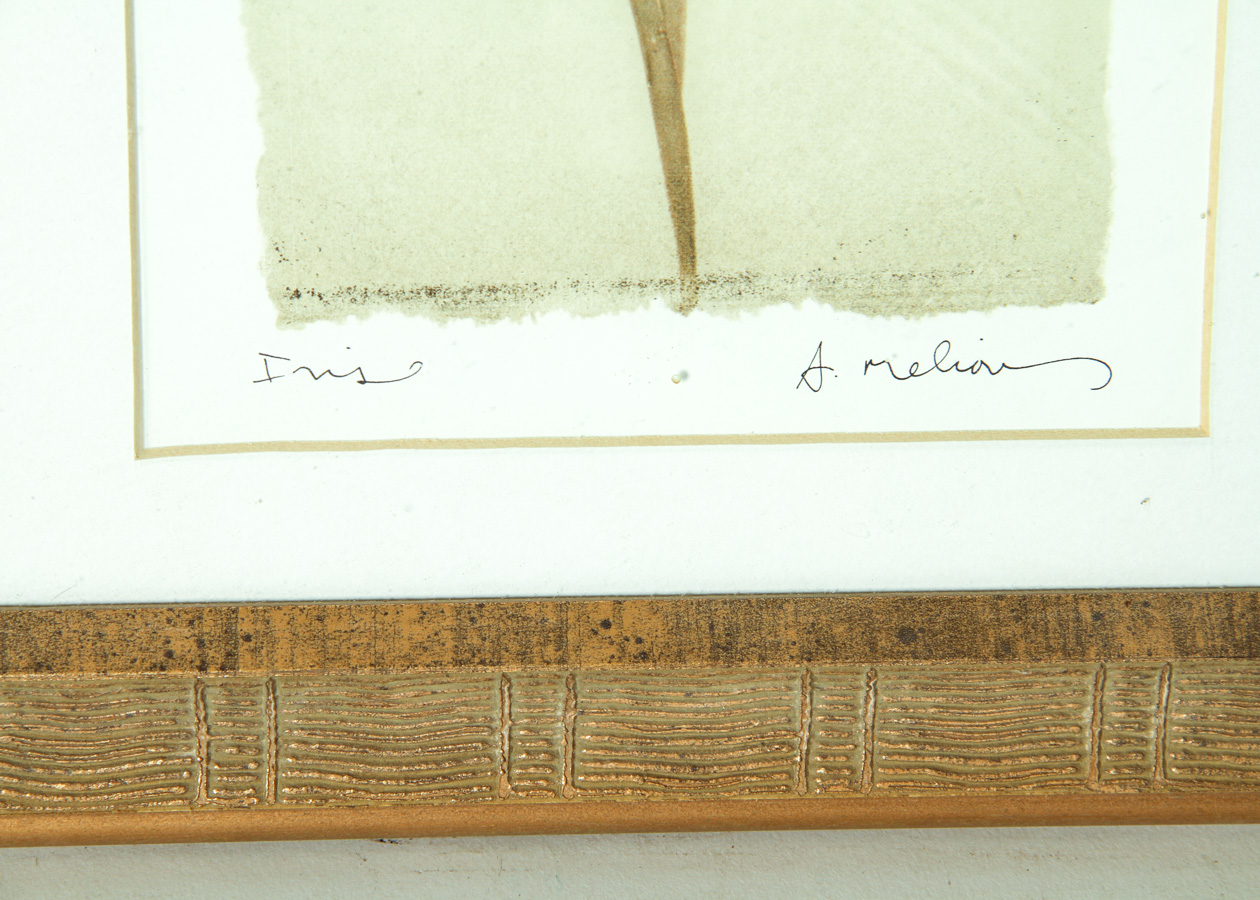 Pair of Framed Floral Art Prints by A. Melion