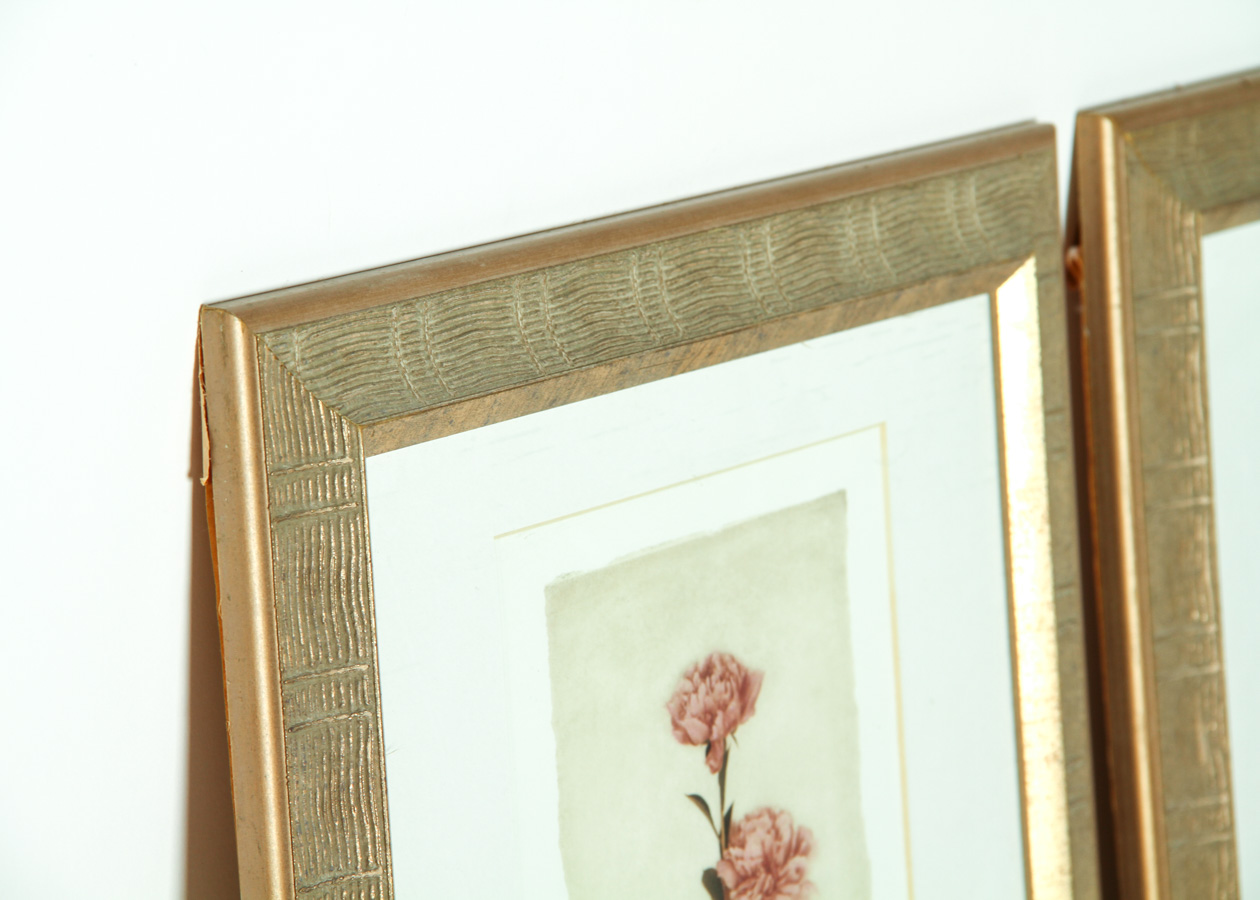 Pair of Framed Floral Art Prints by A. Melion