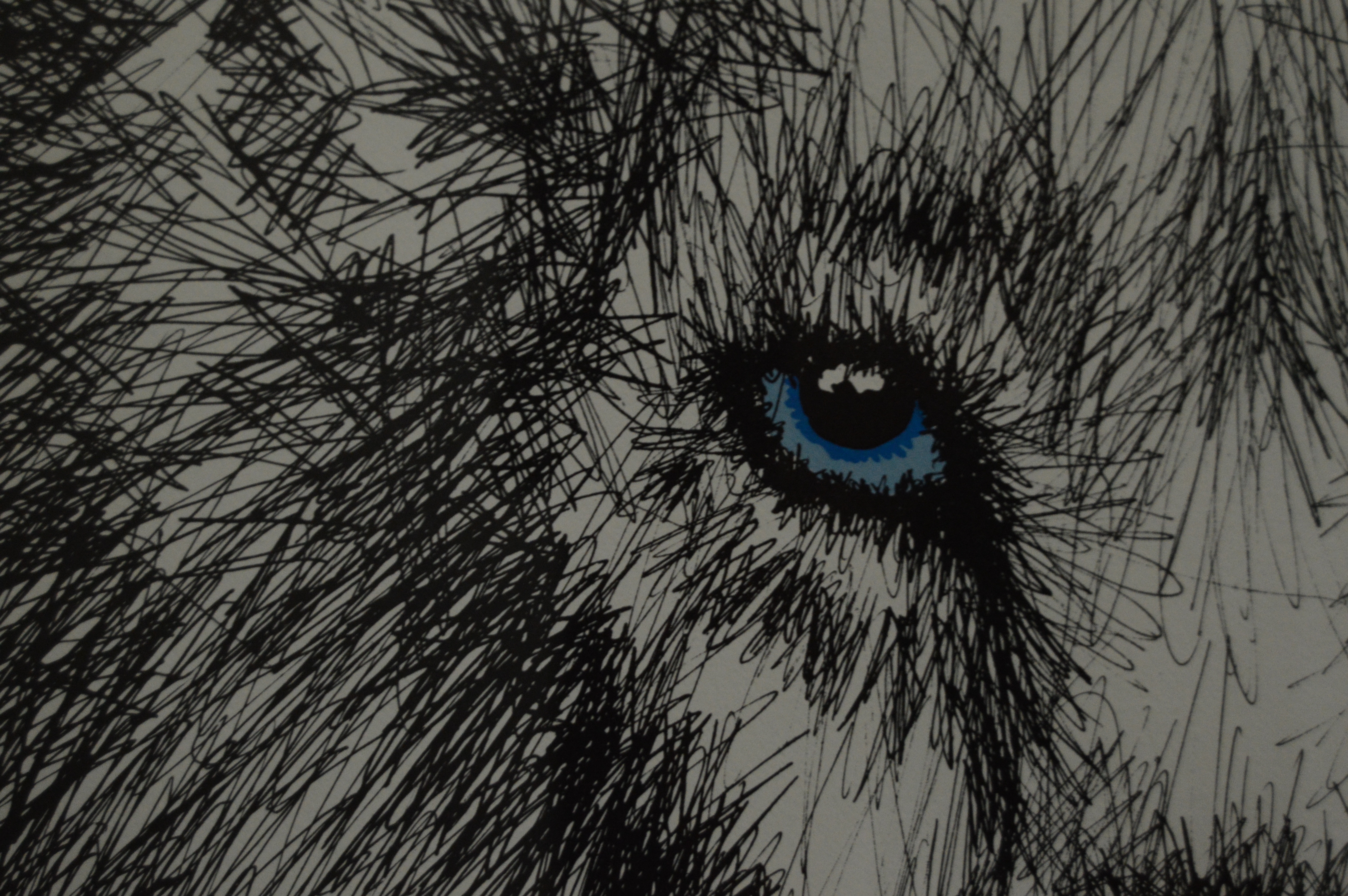 Rabindra Danks Lion Print