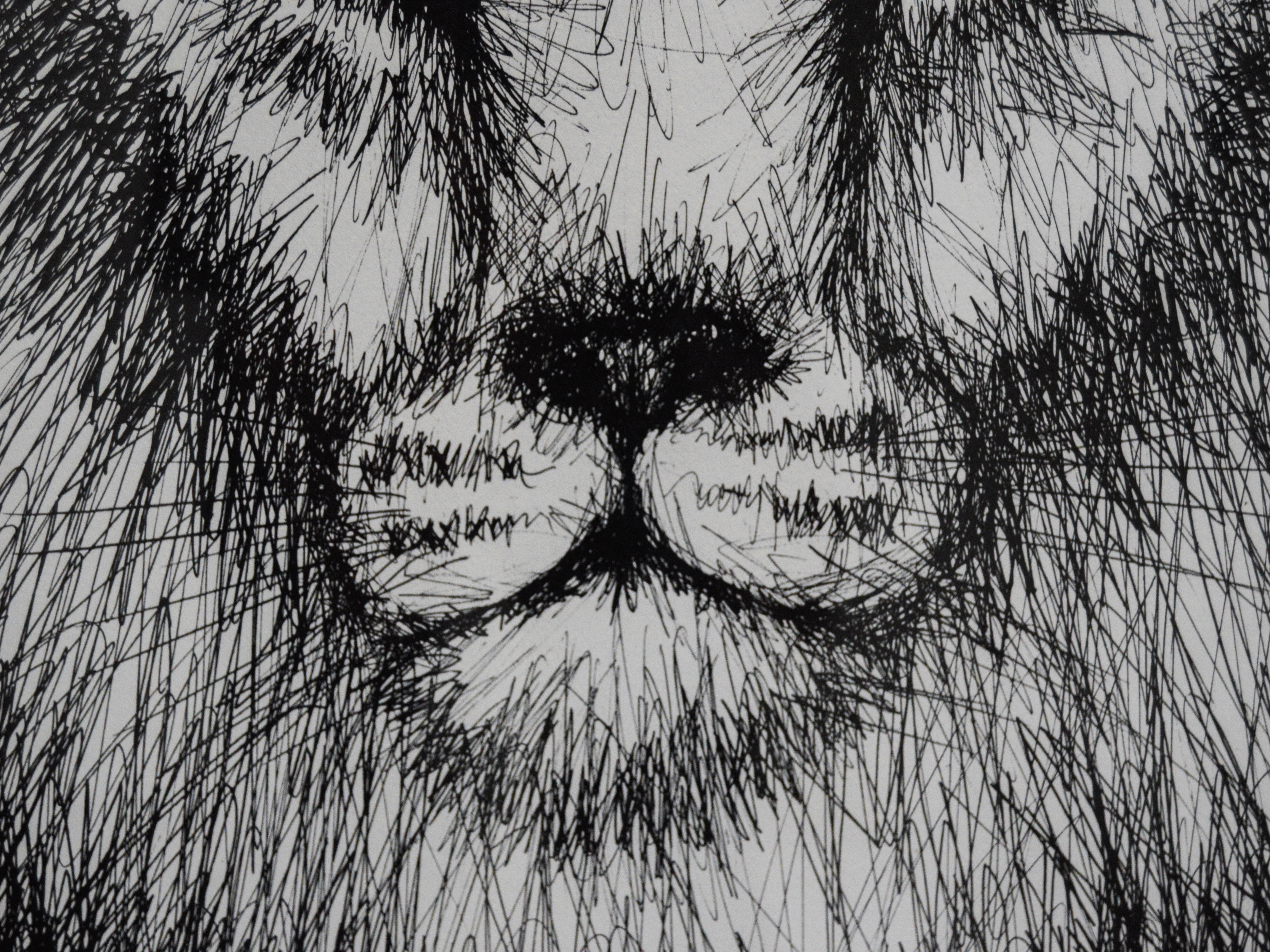 Rabindra Danks Lion Print