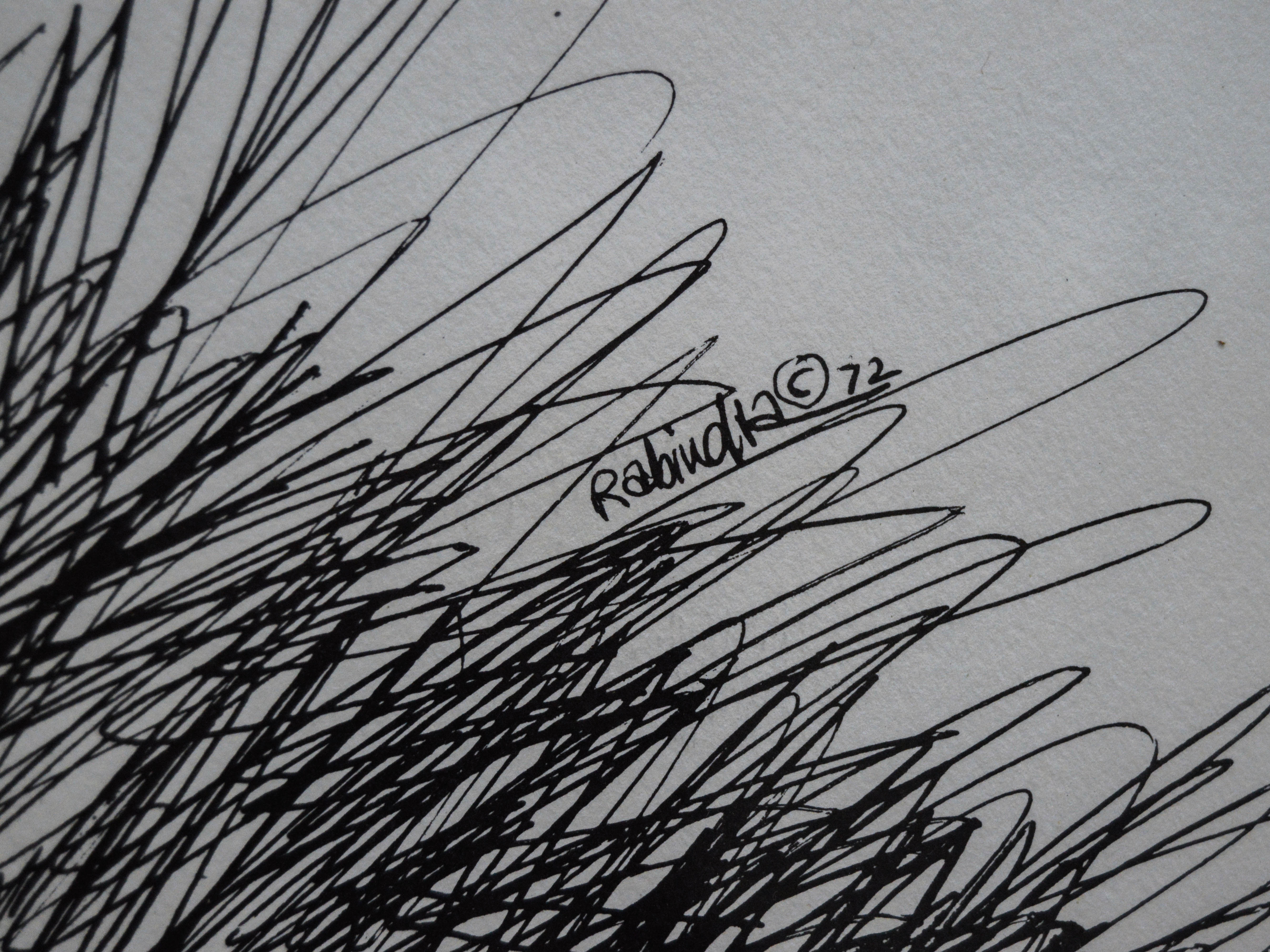 Rabindra Danks Lion Print