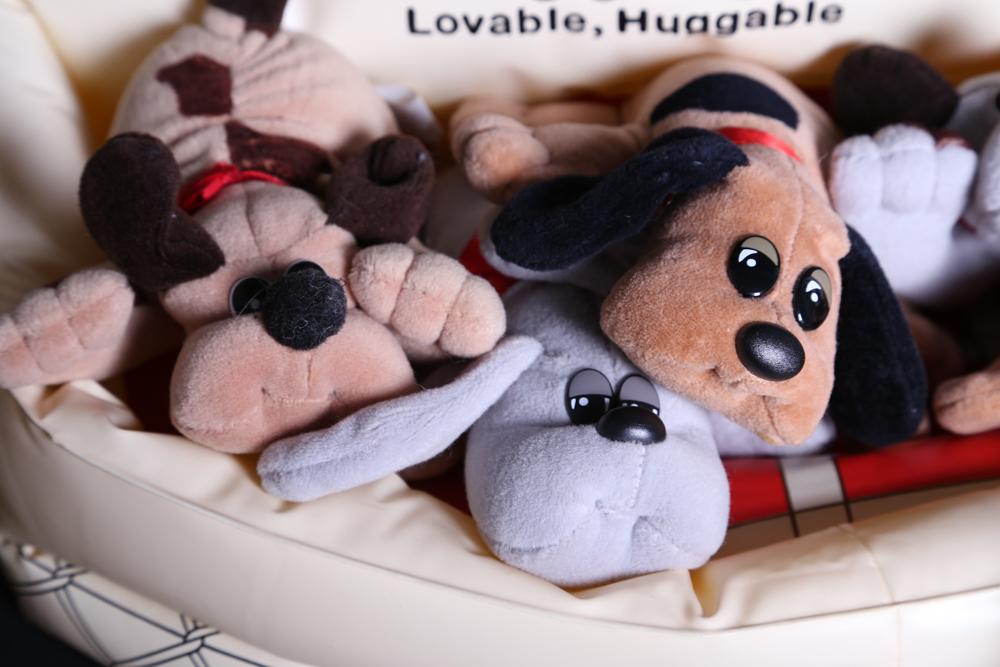 Collection of Vintage Pound Puppies and Accessories