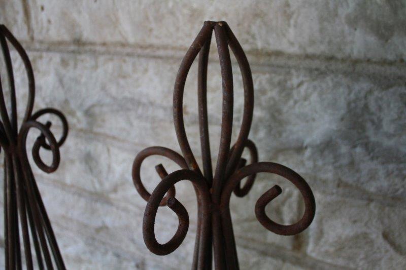 Wrought Iron Topiary