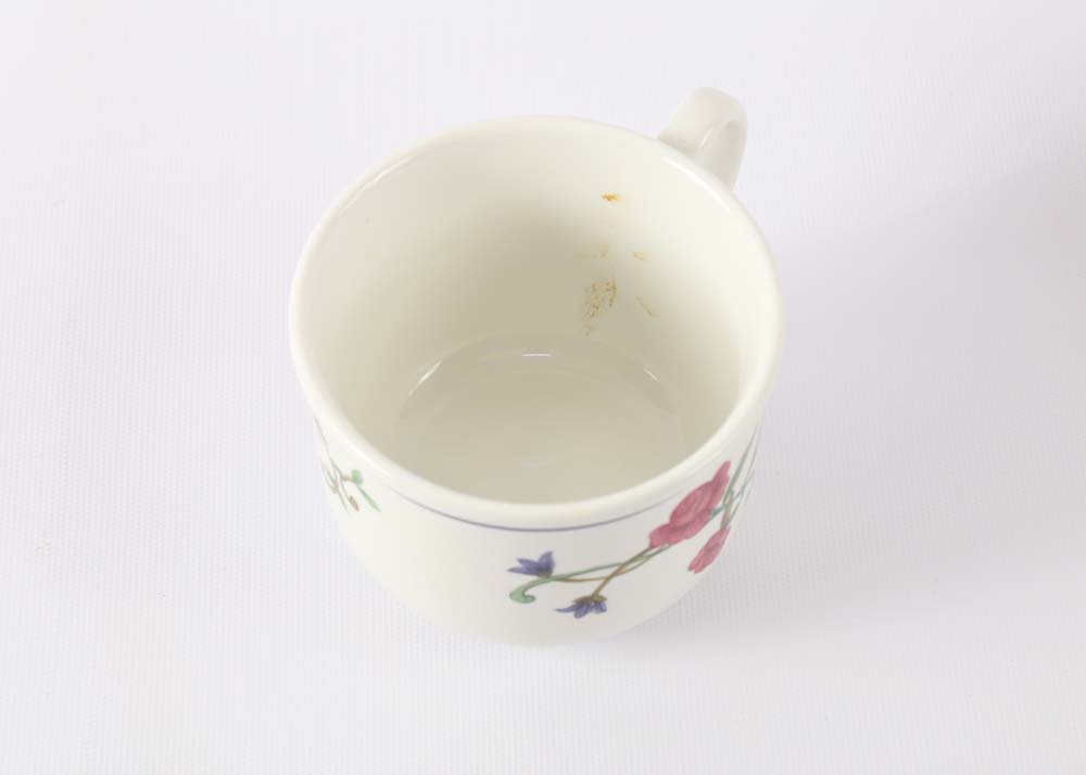 Lenox Rose Garden Service for Eight