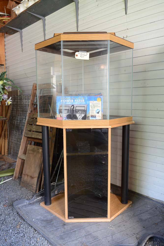 39 Gallon Fish Tank