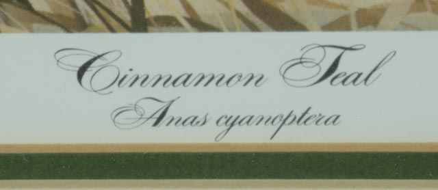 John A. Ruthven Limited Edition Offset Lithograph "Cinnamon Teal"