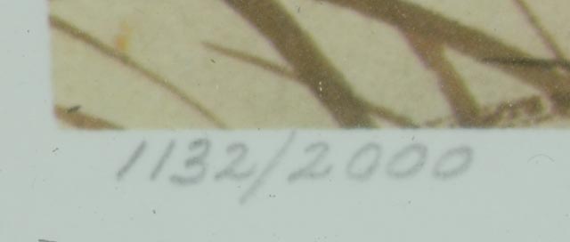 John A. Ruthven Limited Edition Offset Lithograph "Cinnamon Teal"