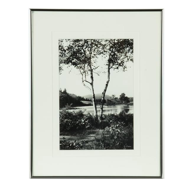 S. Falie Signed Silver Gelatin Landscape Photograph