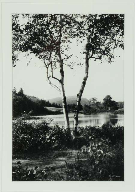 S. Falie Signed Silver Gelatin Landscape Photograph