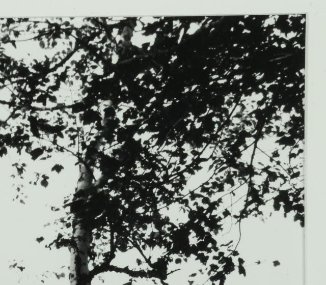 S. Falie Signed Silver Gelatin Landscape Photograph