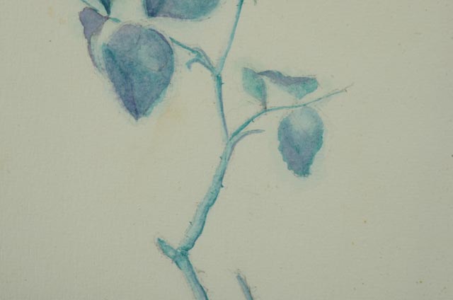 Dennis Garry Original Floral Watercolor