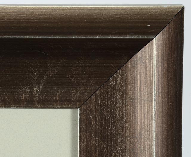 Charley Harper Original Limited Edition Serigraph "Pelican in a Downpour"